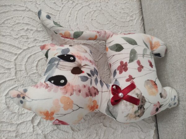 Gato - Imagem 4