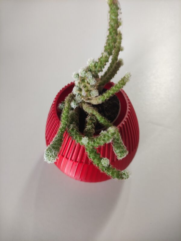 Vaso 3d