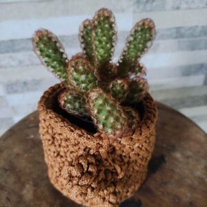 Mini Cachepô De Crochê Em Fio Náutico Premium Para Cactos